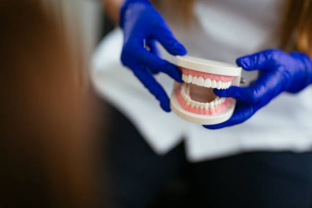 Best Pediatric Dentistry  in Northeast Ithaca, NY